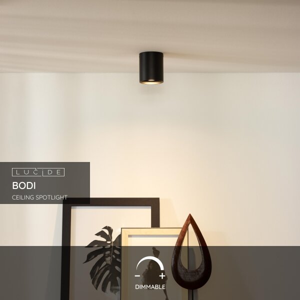 Lucide 09100/01/30 - Lampa spot BODI 1xGU10/50W/230V