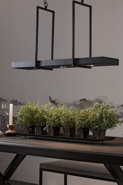 Markslöjd 105780 - LED Lustră dimmabilă pe lanț TRAY 3xLED/3W/230V negru