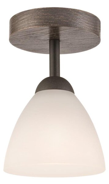 Lustr ADRIANO 1xE27/60W/230V, přisazený model