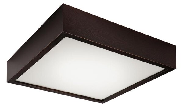 Plafonier 2xE27/60W/230V, iluminare plafon simplă și eficientă