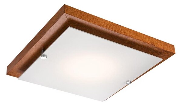 Plafonier 1xE27/60W/230V, iluminare plafon simplă și eficientă
