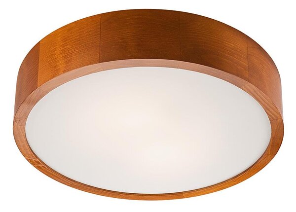 Plafonieră LED/24W/230V