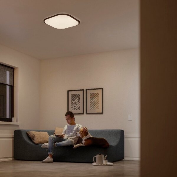 Philips 32810/31/P3 - Plafonieră LED dimabilă CANAVAL LED/18W/230V