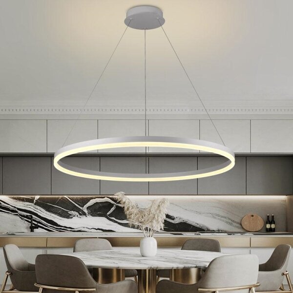 Brilagi - Lampă suspendată LED CIRCLE, dimabilă, pe cablu, 55W/230V 3000-6500K + telecomandă
