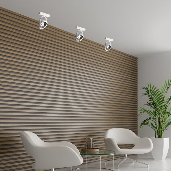 Spot de perete LUGAR 1xAR111 - GU10/25W/230V
