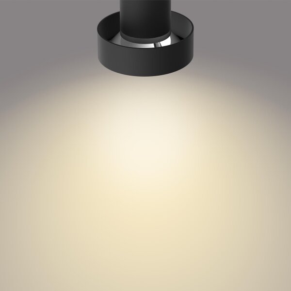 Spot LED dimabil BUKKO 2xLED/4,5W/230V Philips 50602/30/P0