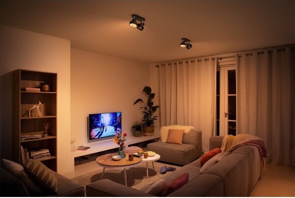 Spot LED dimabil BUKKO 2xLED/4,5W/230V Philips 50602/30/P0