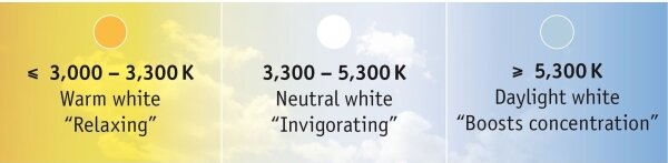 Paulmann 70624 - Bandă LED MAXLED 3m 20W reglabilă 230V cu DO