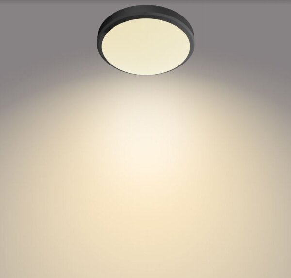Plafonieră LED pentru baie DORIS LED/6W/230V IP44 Philips