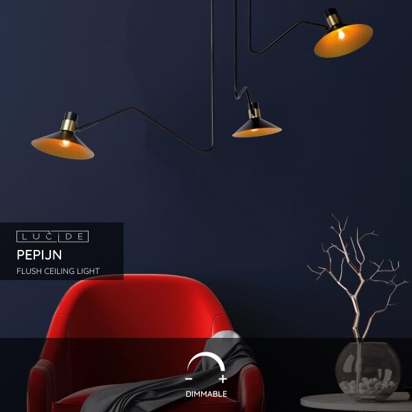 Lustră aplicată PEPIJN 3xE14/40W/230V Lucide 05128/03/30