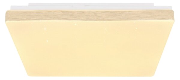 Plafonieră LED RAINA LED/12W/230V Globo 48296W
