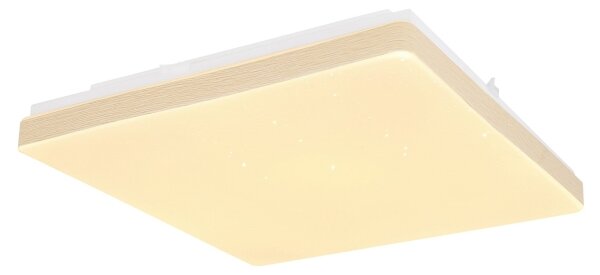 Plafonieră LED RAINA LED/12W/230V Globo 48296W