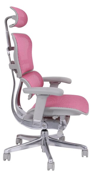 Scaun de birou Ergohuman 2 Elite GS Pink