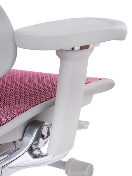Scaun de birou Ergohuman 2 Elite GS Pink