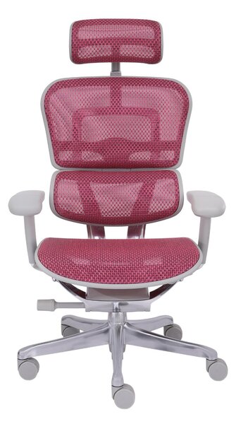 Scaun de birou Ergohuman 2 Elite GS Pink