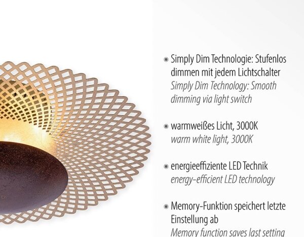 Plafonieră LED dimabilă NEVIS LED/18W/230V Paul Neuhaus 6551-48