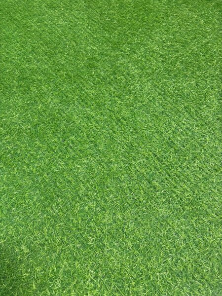 Covor Gazon Iarba Artificiala, Gradinita Loc de Joaca Terasa Curte, Model Leisure Inaltime fir 15 mm, Verde Verde, Dreptunghi, 200 x 200