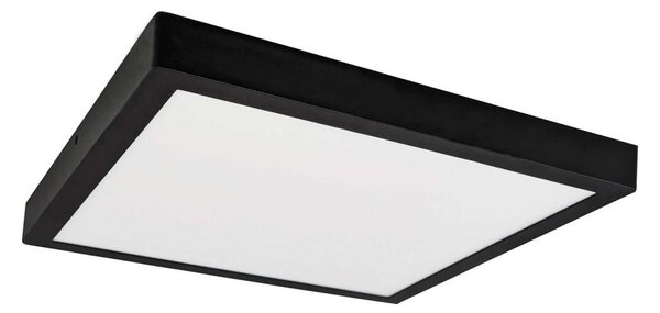 Plafonieră LED FENIX LED/32W/230V 3800K 40 cm