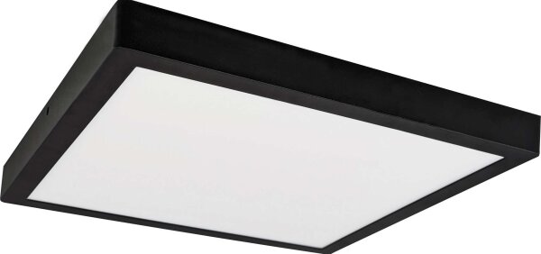 Plafonieră LED FENIX LED/32W/230V 3800K 40 cm