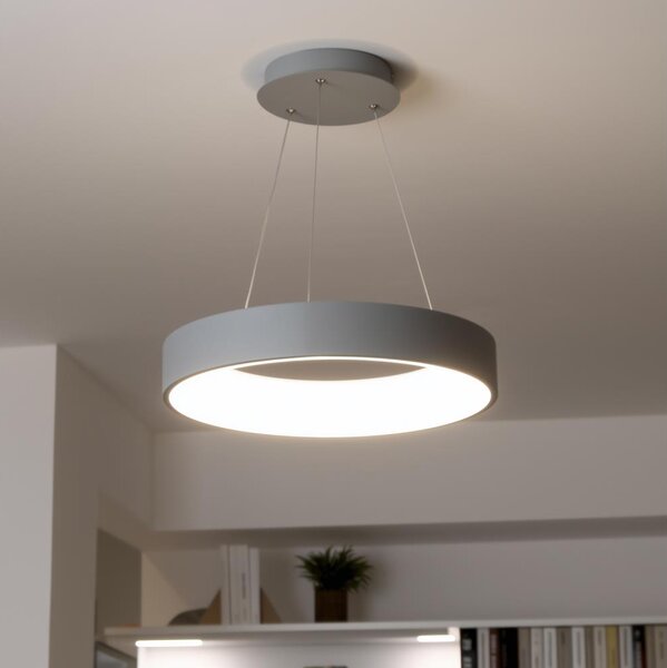 Brilagi - Lustra LED dimabilă pe cablu LED/40W/230V 3000-6500K gri + telecomandă