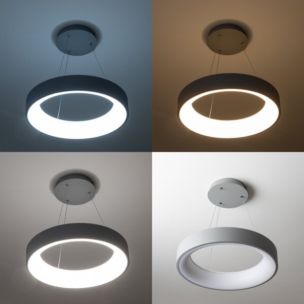 Brilagi - Lustra LED dimabilă pe cablu LED/40W/230V 3000-6500K gri + telecomandă