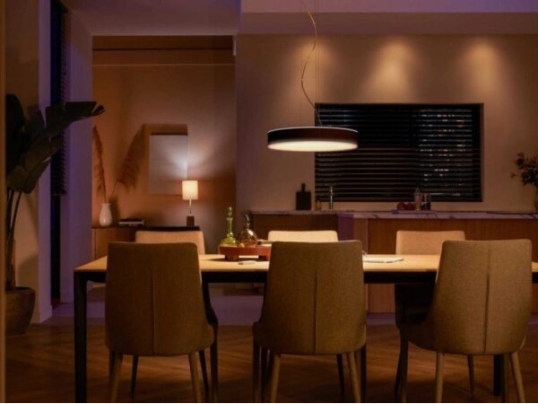 Lustră LED pe cablu dimabilă Hue LED/33,5W/230V 2200-6500K neagră Philips
