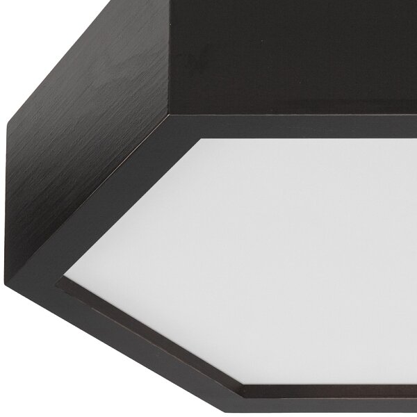 Plafonieră HEX 1xE27/60W/230V d. 32 cm negru pin