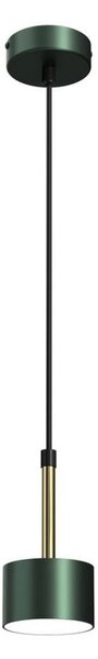 Lustră pe cablu ARENA 1xGX53/11W/230V verde/aurie