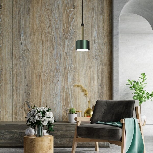 Lustră pe cablu ARENA 1xGX53/11W/230V verde/aurie