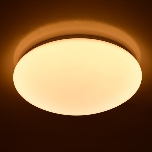 Brilagi - Plafonieră LED OPAL, 24W, 230V