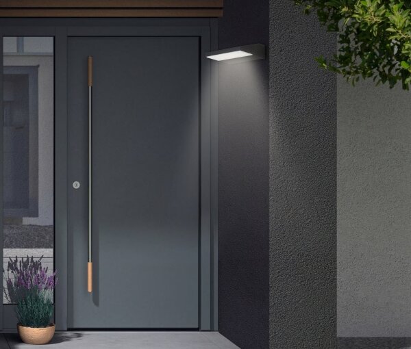 Telefunken - Aplică de perete pentru exterior LED/10W/230V IP44 negru