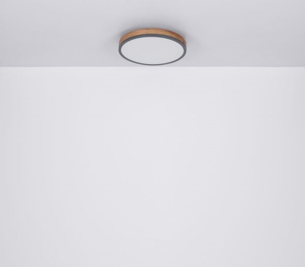 Plafonieră LED DORO LED/12W/230V d. 30 cm Globo 416080WD1R