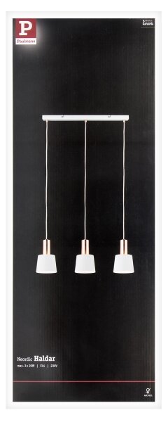 Lustră pe cablu 3xE14/20W NEORDIC HALDAR 230V Paulmann 79657