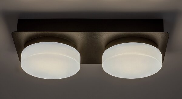 Plafonieră LED pentru baie ATTICHUS 2xLED/5,5W/230V IP44 Rabalux 75002