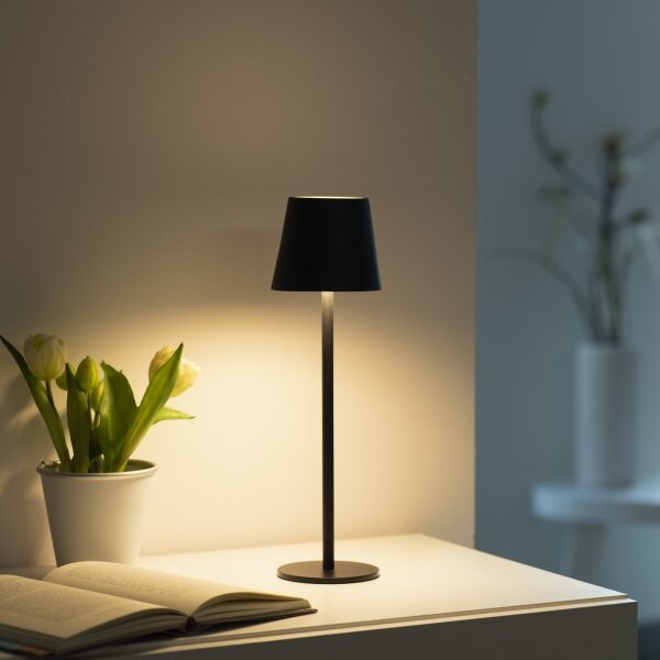Leuchten Direkt19250-18-LED Lampă de exterior reîncărcabilă EURIA LED/3W/5V IP54