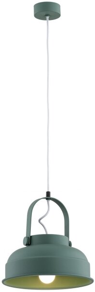 Lustră pe cablu DAKOTA 1xE27/15W/230V verde Argon 8287