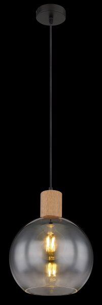Lustră pe cablu MOITAS 1xE27/40W/230V Globo 15656H