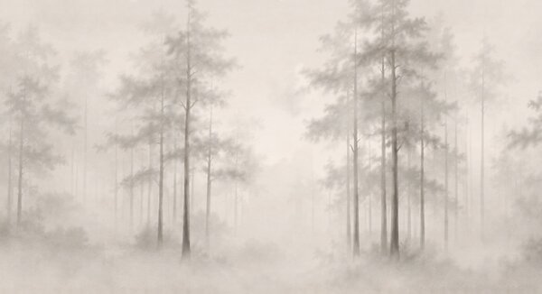 Fototapet Pădure ceațoasă cu copaci, Fototapet pădure, Fototapet populare, t01056v2 - Tapeko.ro
