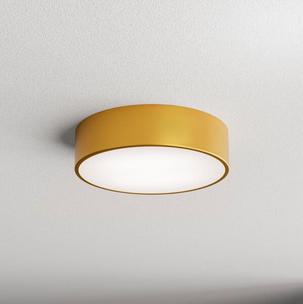 Plafonieră pentru baie Brilagi CLARE 2xE27/24W/230V d. 30 cm IP54 auriu