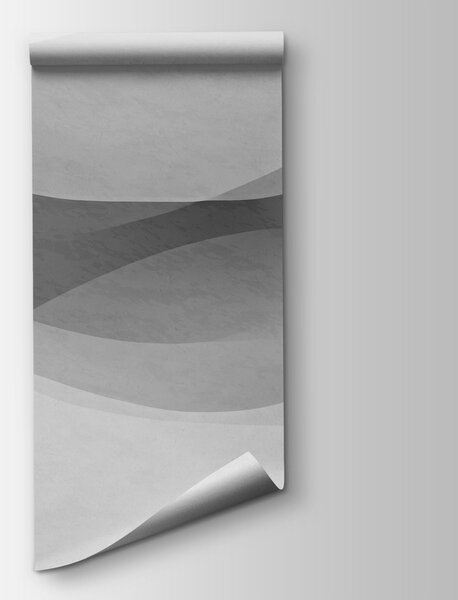 Fototapet Fundal alb cu valuri alb-negru, Fototapet abstracte, Fototapet populare, t01055v5 - Tapeko.ro