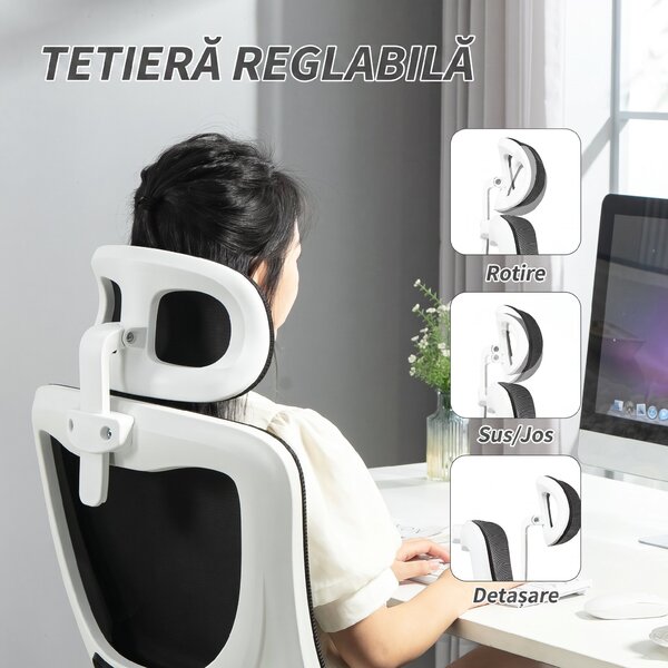 Vinsetto Scaun de Birou Ergonomic cu Tetieră Detașabilă Negru | Aosom Romania