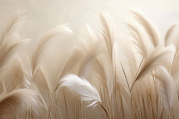 Tapet Iarbă de pampas, Fototapet Natură, w05716 : Uwalls.ro