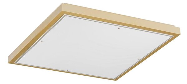 Plafonieră CARLSON 2xE27/15W/230V 29x29 cm Argon 7167
