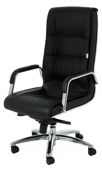Scaun de birou Nexus SN1