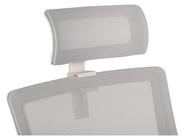 Scaun de birou Speed WS HD