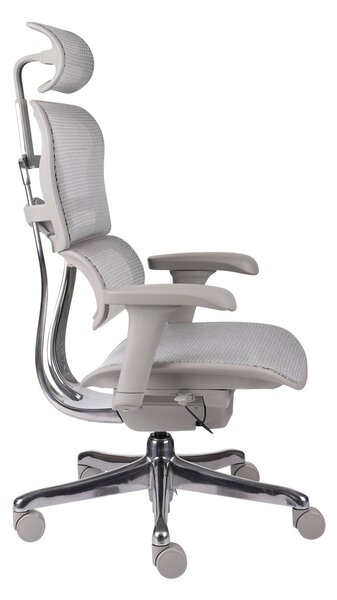 Scaun de birou Ergohuman 2 Basic GS Grey