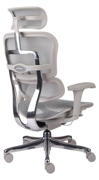 Scaun de birou Ergohuman 2 Basic GS Grey