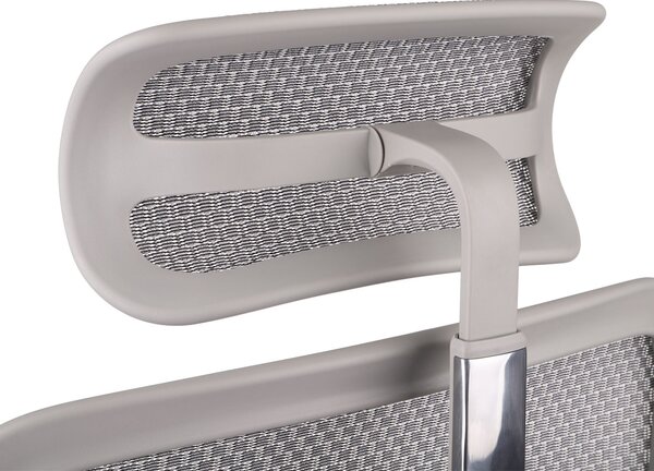 Scaun de birou Ergohuman 2 Basic GS Grey