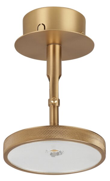 UMAGE Spot LED Asteria Spot, Ø 12 cm, placat cu alamă, reglabil, Auriu / Alamă, Camera de zi / sufragerie, Metal, Design