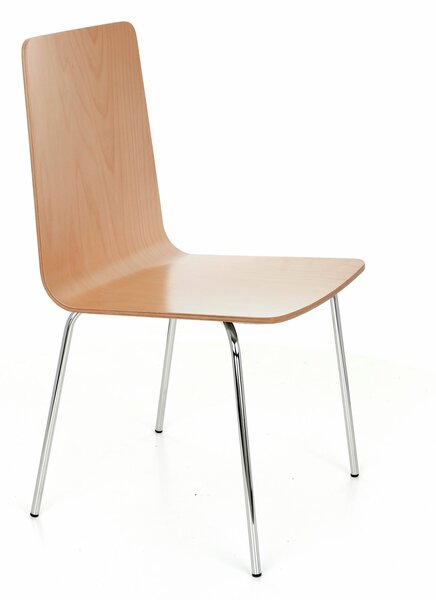 Scaun Skin Steel Wood